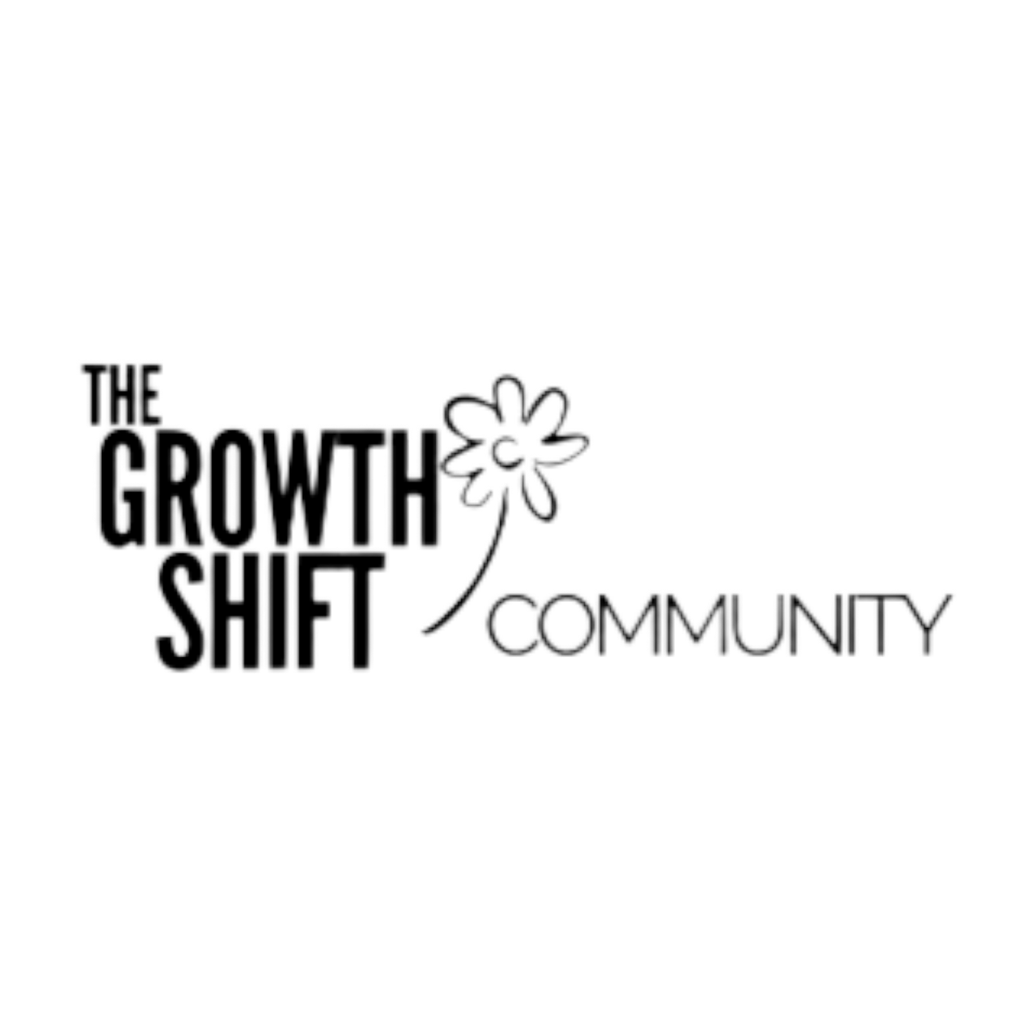 mel ruben the growth shift compnay