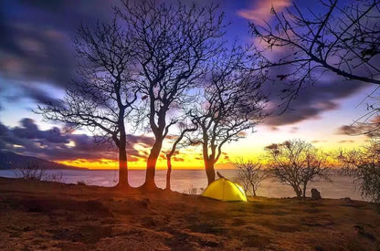 AcroYoga Experience: AcroVan Odyssey Bali Adventure